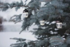 Barebones Beacon Light -Kampeerhal Roden Beacon Light Bronze 4