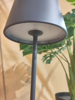 Human Comfort Staande Lamp Mire -Kampeerhal Roden Human Comfort Staande Lamp Mire 2