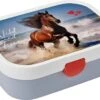 Mepal Lunchbox Campus - Wild Horse 1 Mepal Lunchbox Campus - Wild Horse -Kampeerhal Roden Mepal Lunchbox Campus Wild Horse