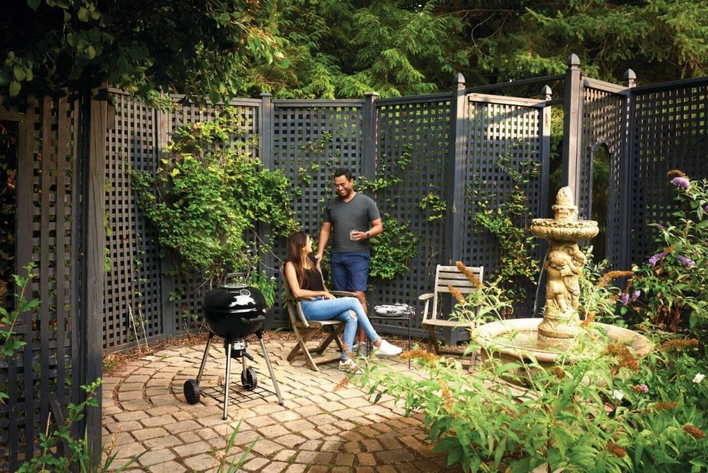 Napoleon Premium Houtskool Kettle 47Cm 7 Napoleon Premium Houtskool Kettle 47Cm - Afbeelding 5