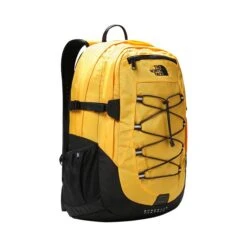 The North Face Borealis Classic -Kampeerhal Roden the north face borealis classic dagrugzak 705x705 45286